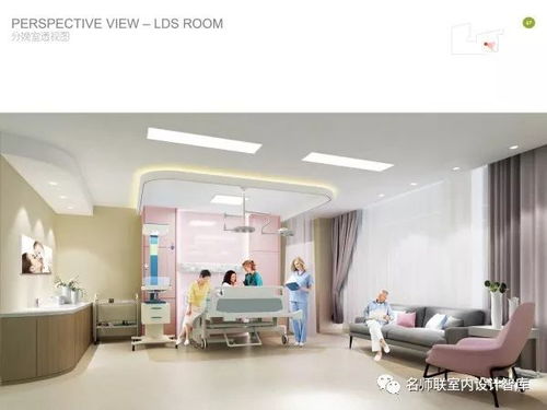 高端国际范儿妇产科月子中心医院深化设计方案ppt 116p