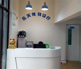 优质猫狗救助,专业的猫狗体内外驱虫,值得您信赖