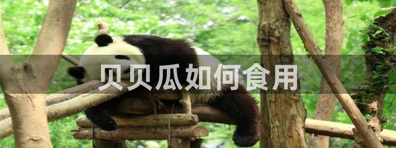 吃瓜吃瓜:贝贝瓜如何食用