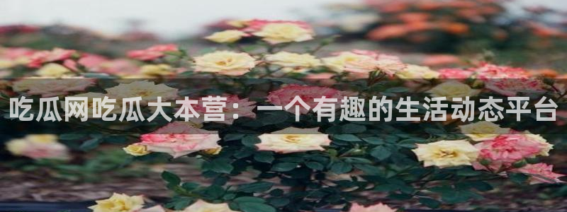51吃瓜全网吃最快的瓜:吃瓜网吃瓜大本营:一个有趣的生活动态平台