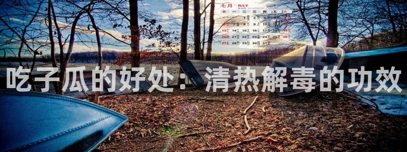 吃瓜爆料网不打烊回家:吃子瓜的好处:清热解毒的功效